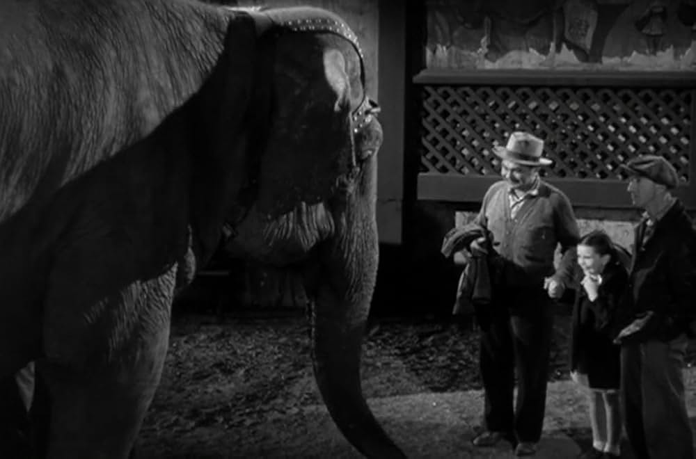 緑のそよ風の画像