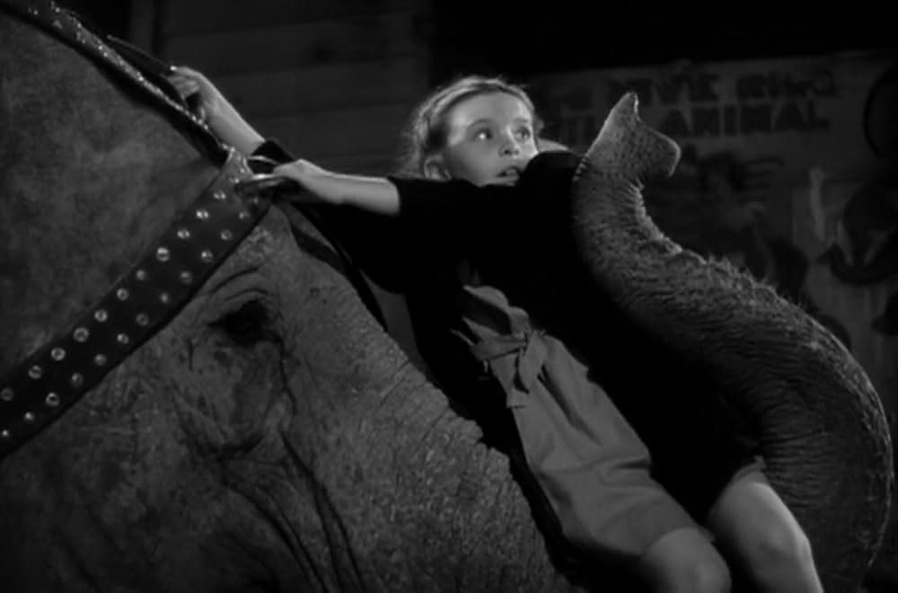 緑のそよ風の画像