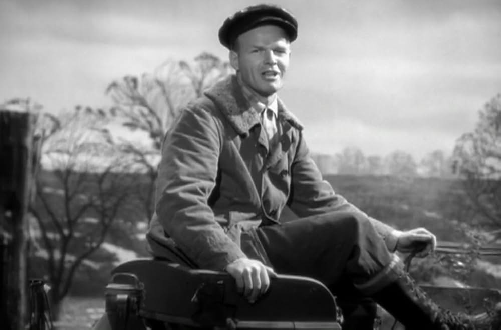 緑のそよ風の画像