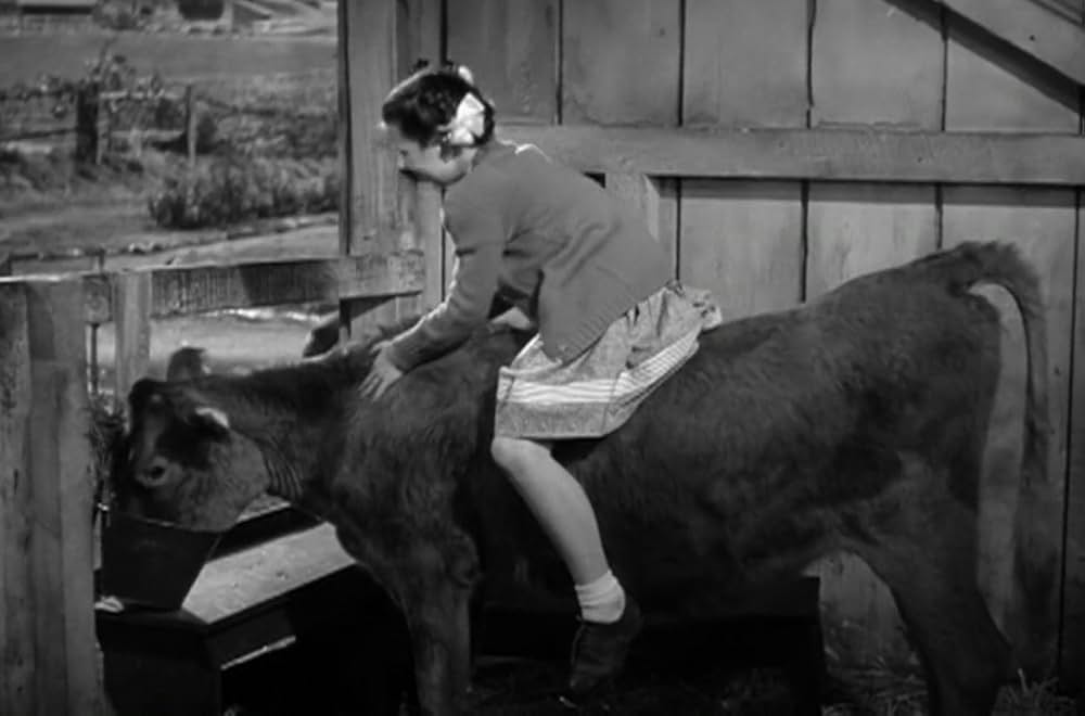 緑のそよ風の画像