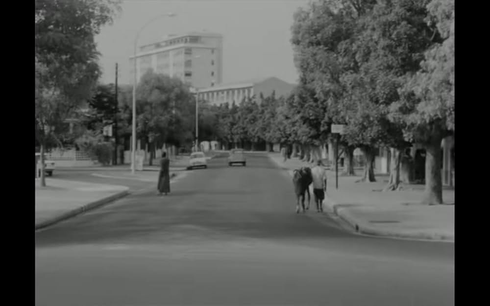 Borom sarret（原題）の画像