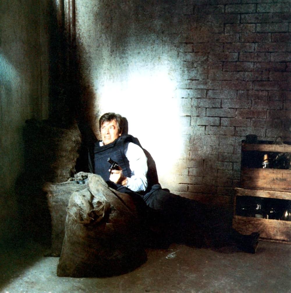 アラン・ドロン／私刑警察の画像