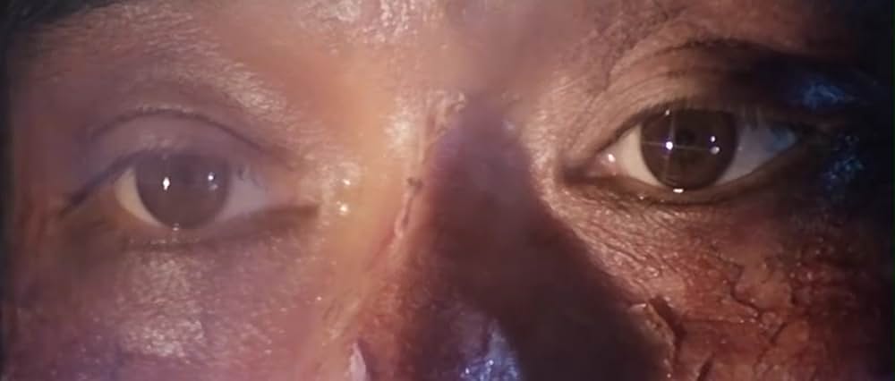 ミラクル・ファイターの画像