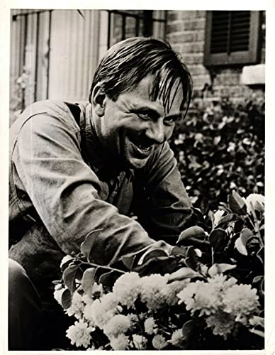 悪い種子（たね）の画像