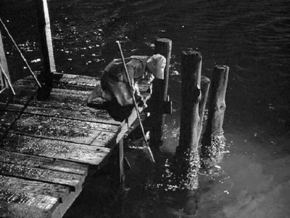 「悪い種子（たね）」パティ・マコーマックの画像