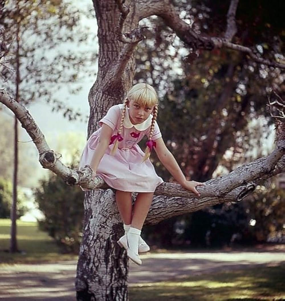 悪い種子（たね）の画像