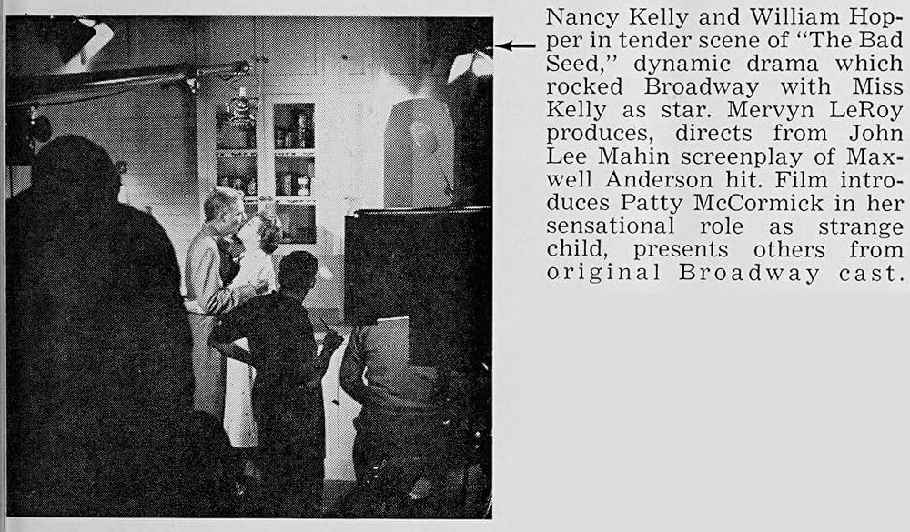 悪い種子（たね）の画像