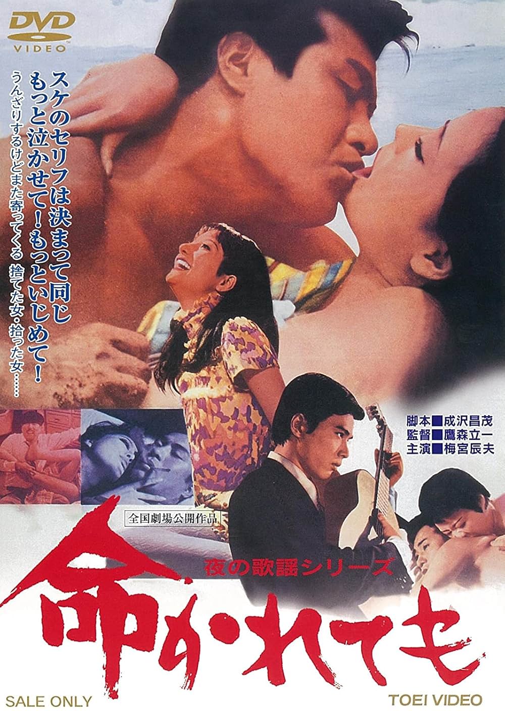 夜の歌謡シリーズ 命かれてもの写真