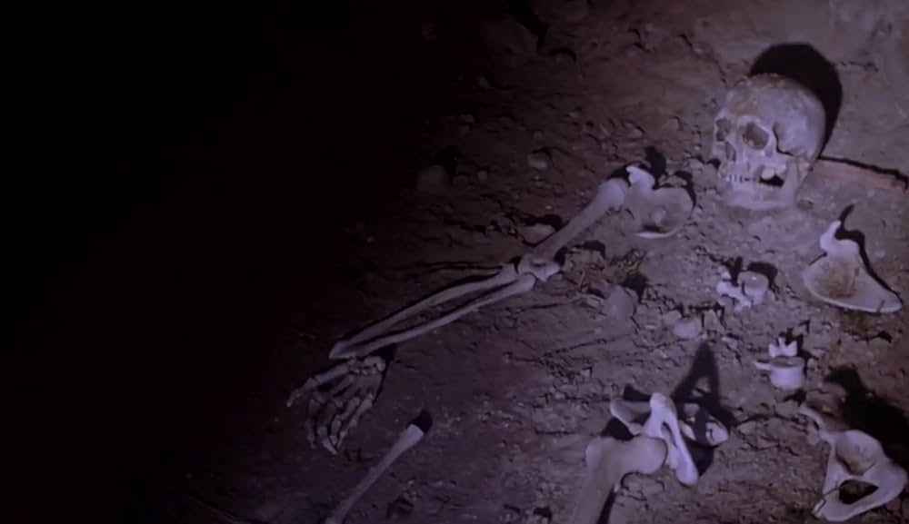 ケイヴ・フィアー CAVE FEARの画像