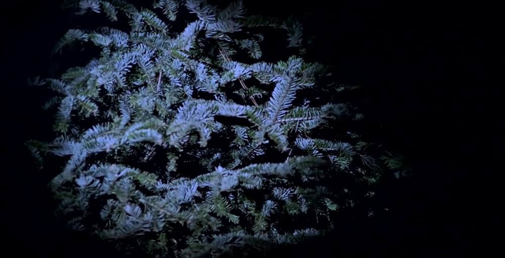 ケイヴ・フィアー CAVE FEARの画像