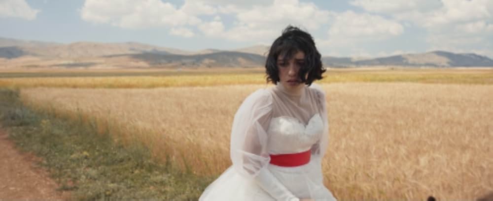 心のうたの画像