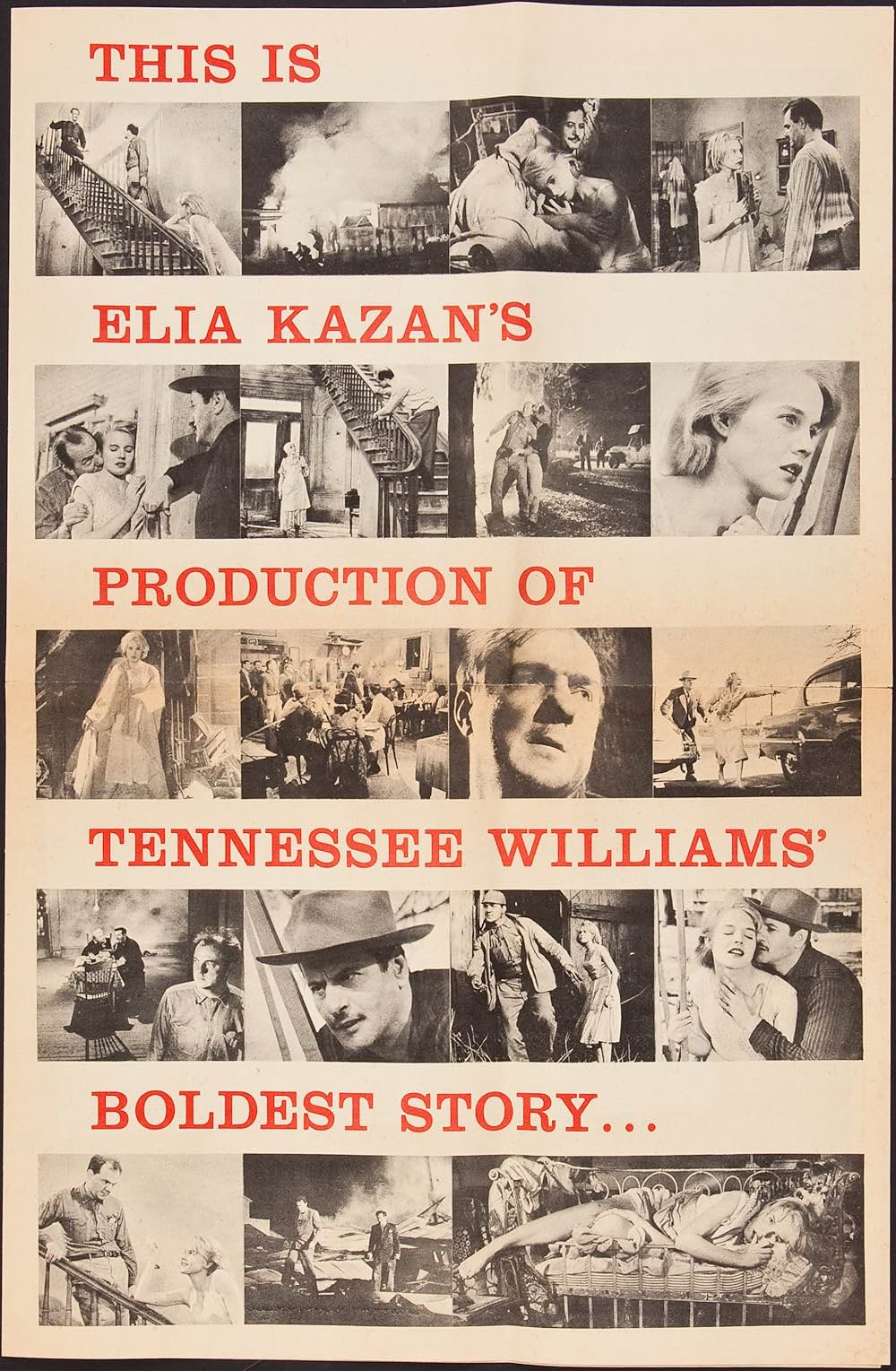 ベビイドールの画像