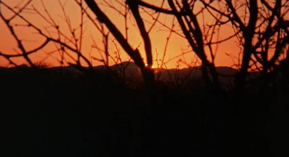 「Night of the Lepus（原題）」の画像