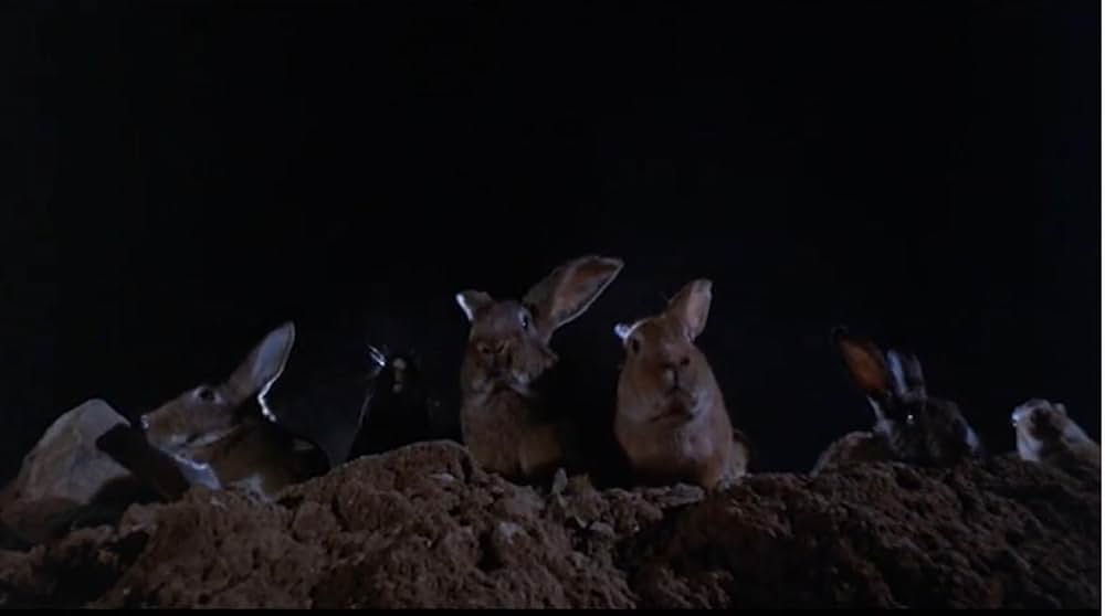 Night of the Lepus（原題）の画像