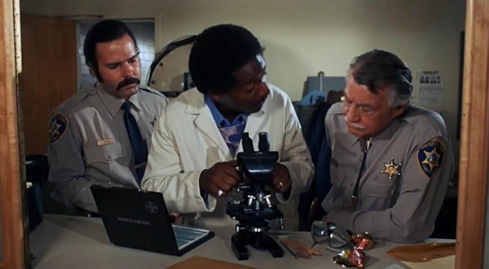 Night of the Lepus（原題）の画像