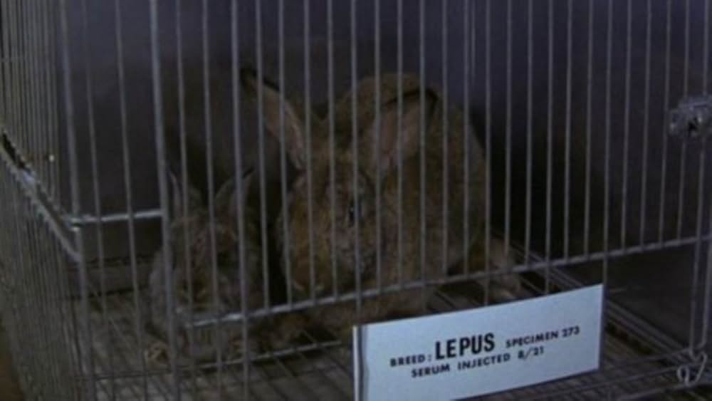 Night of the Lepus（原題）の画像