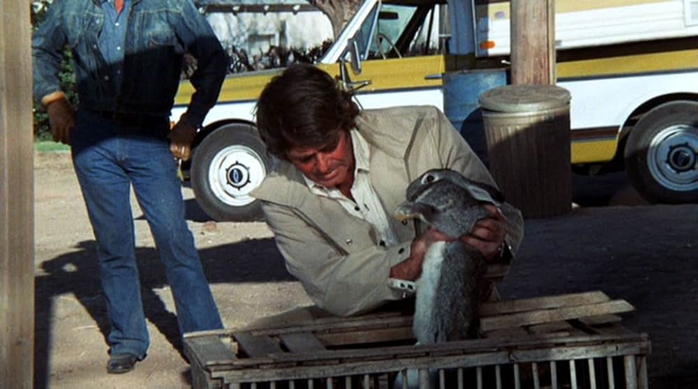 Night of the Lepus（原題）の画像