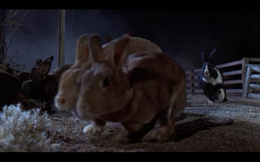 Night of the Lepus（原題）の画像