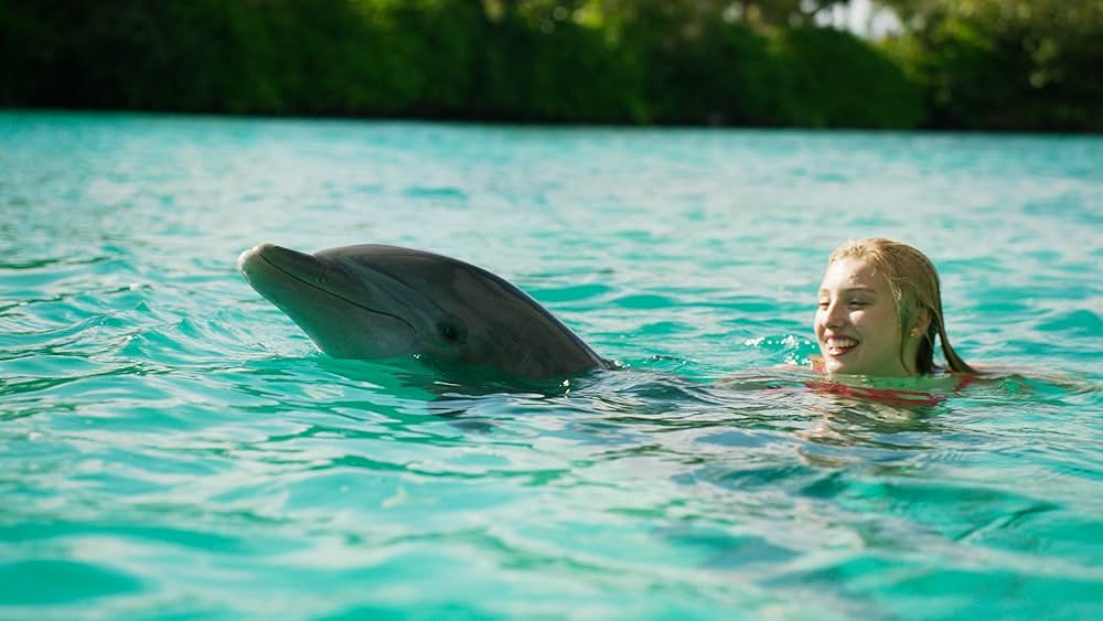 アナベル あいのきずなの画像