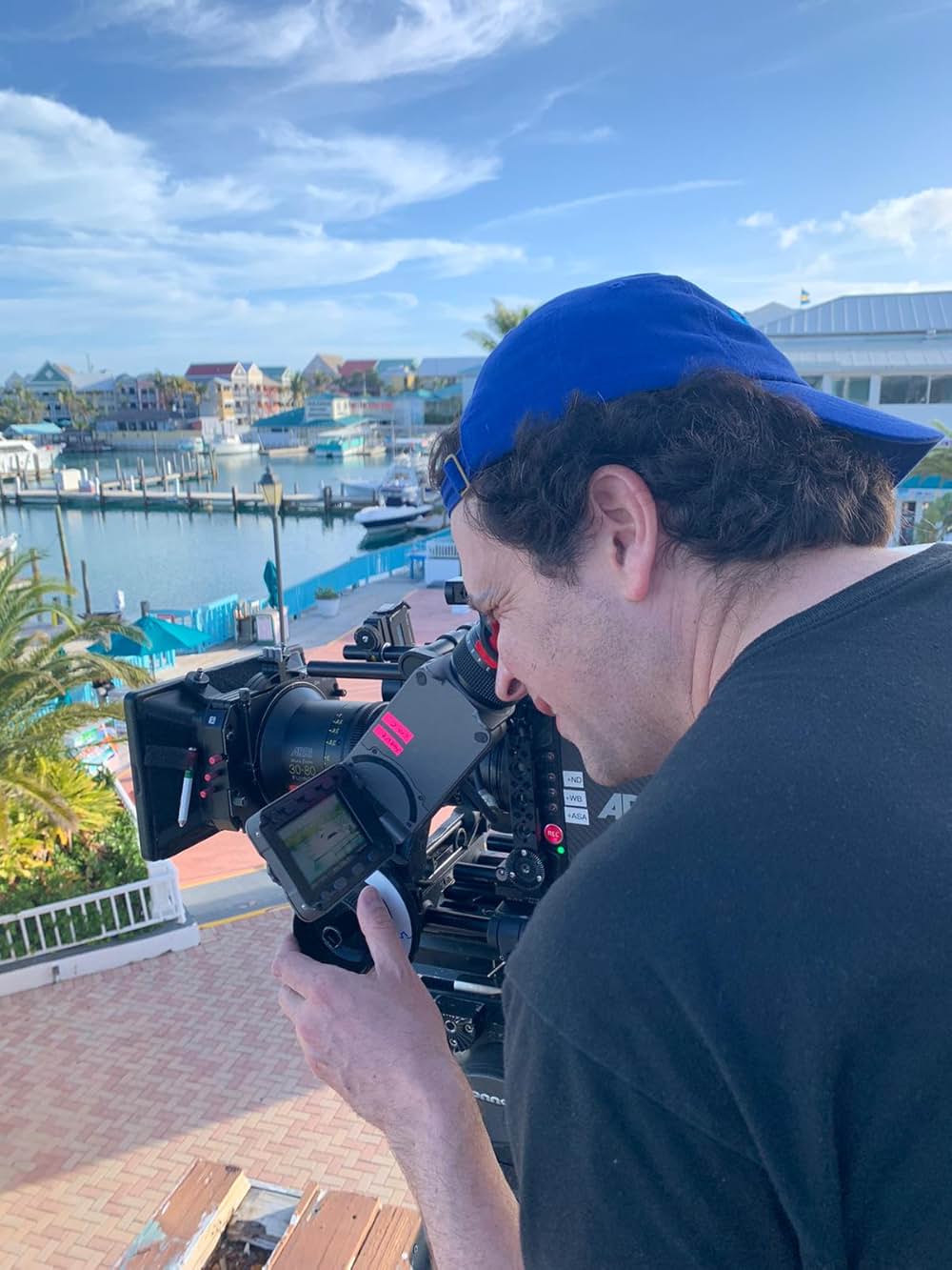 アナベル あいのきずなの画像