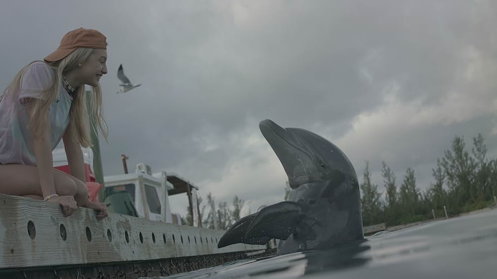 アナベル あいのきずなの画像