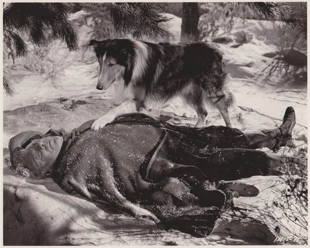 故郷の丘の画像