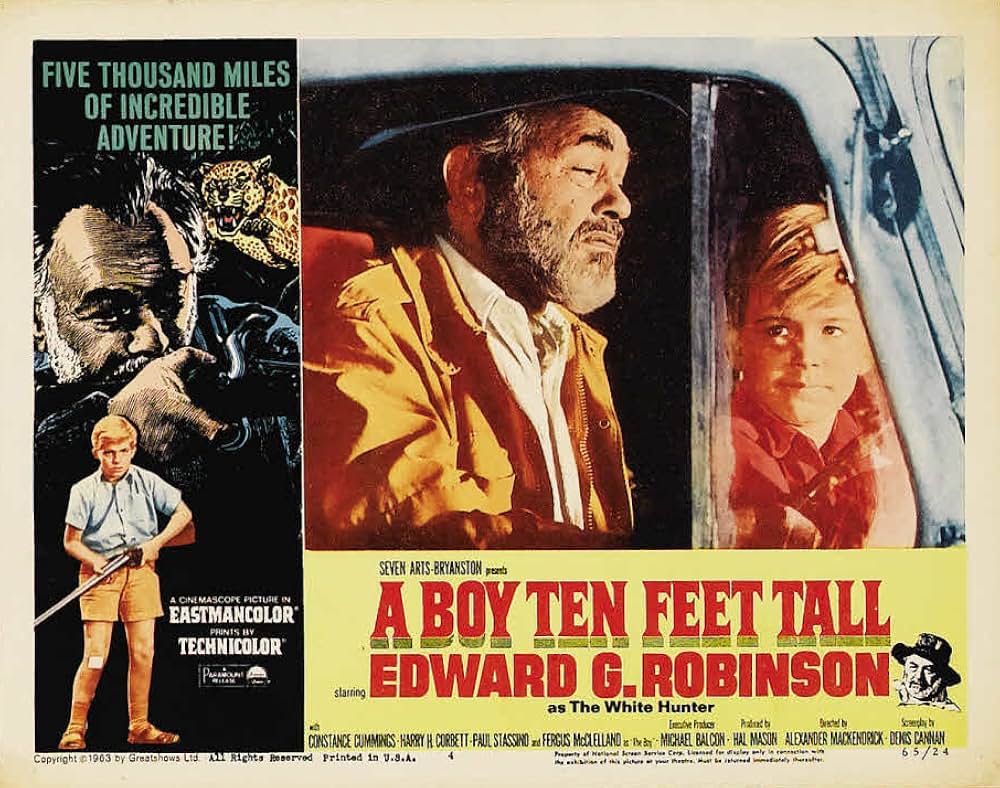 サミー南へ行くの画像