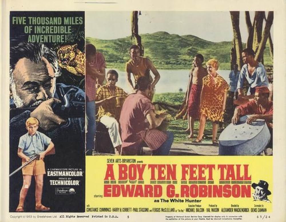 サミー南へ行くの画像