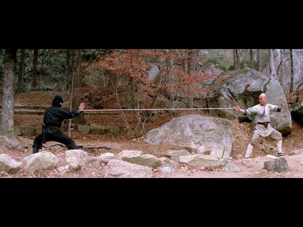 仏陀竜の蛇拳の画像