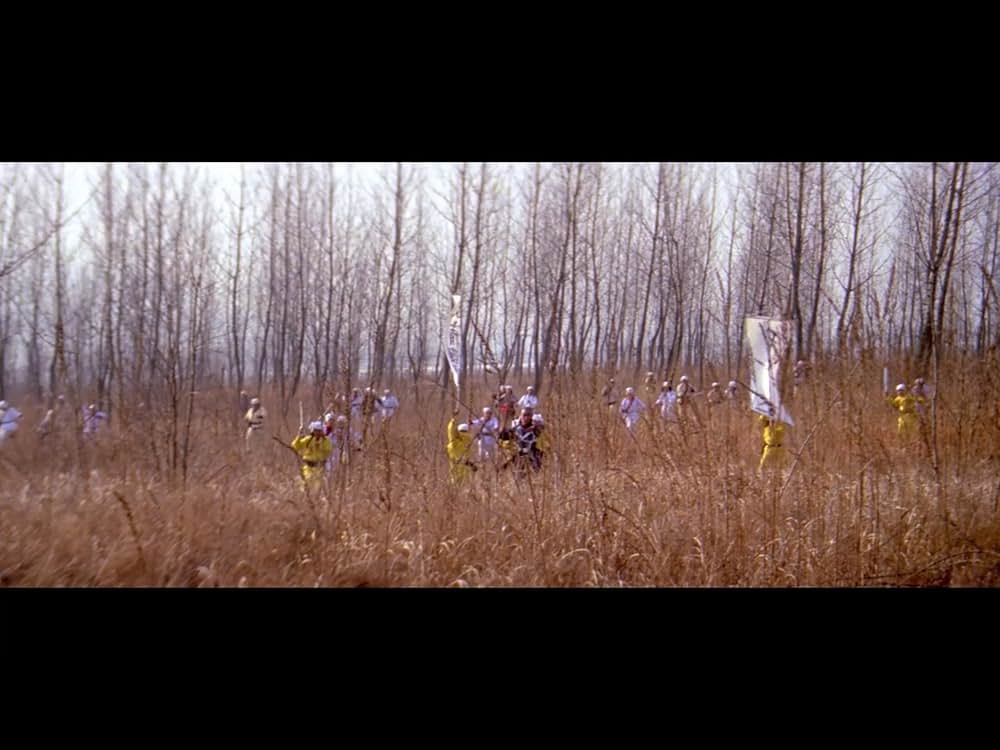 仏陀竜の蛇拳の画像