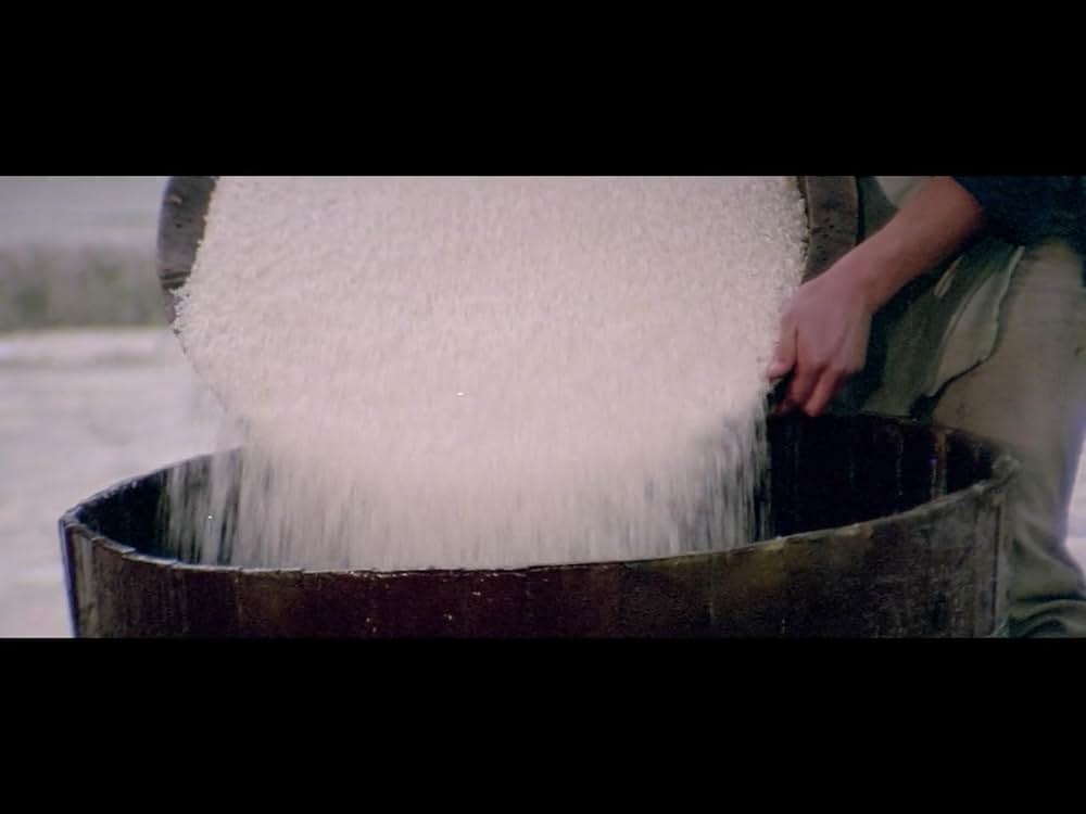 仏陀竜の蛇拳の画像