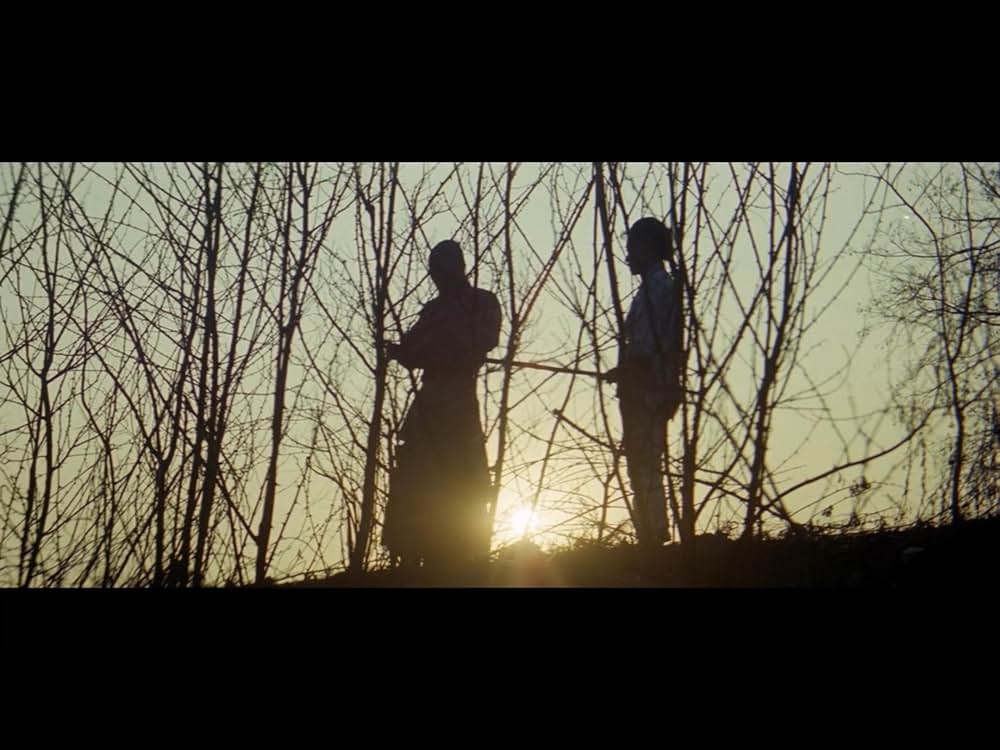 仏陀竜の蛇拳の画像