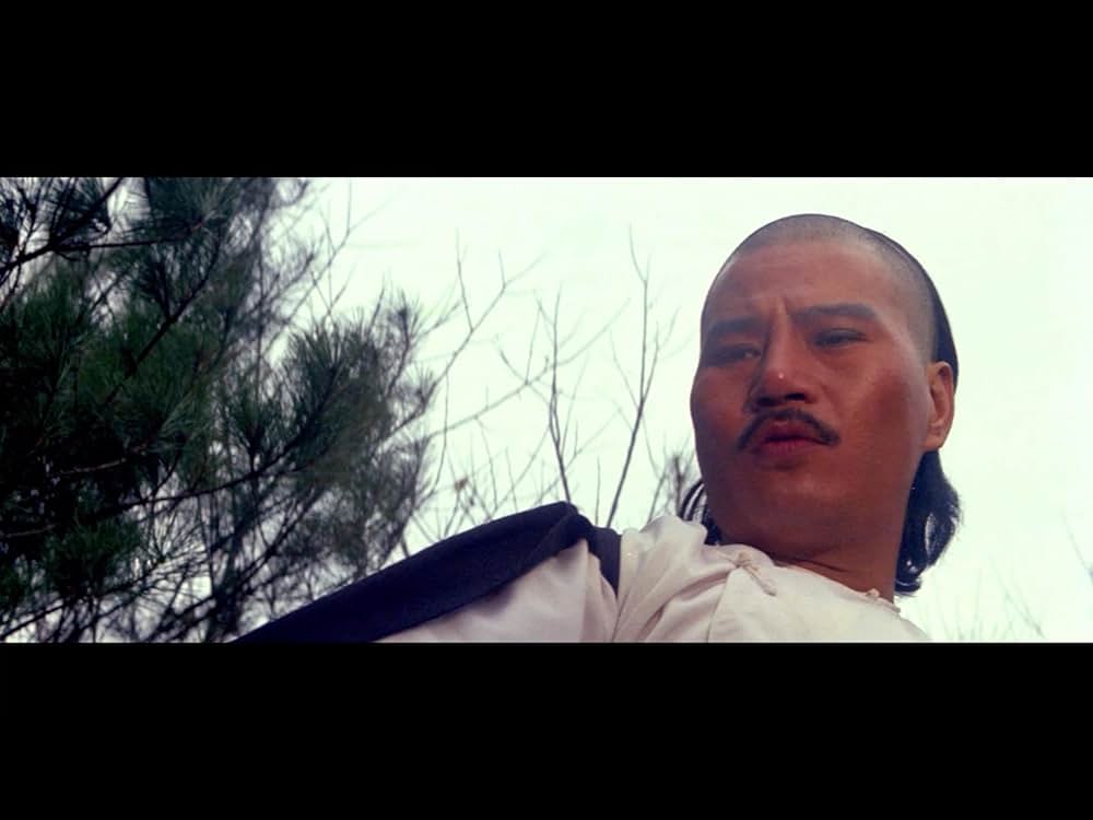 仏陀竜の蛇拳の画像