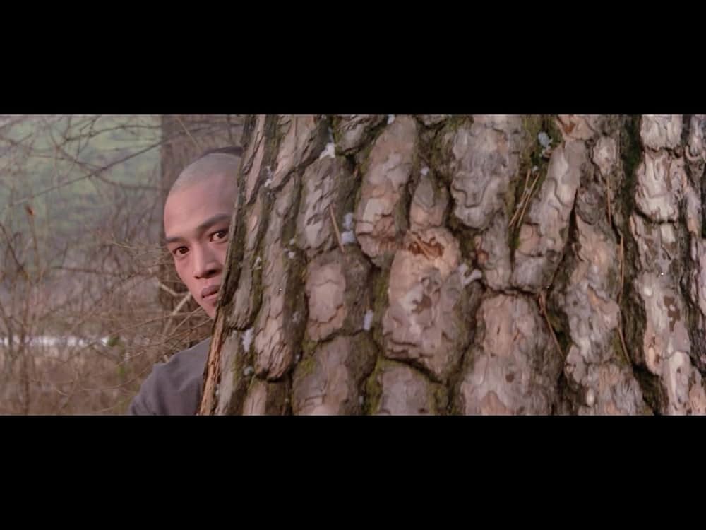 仏陀竜の蛇拳の画像