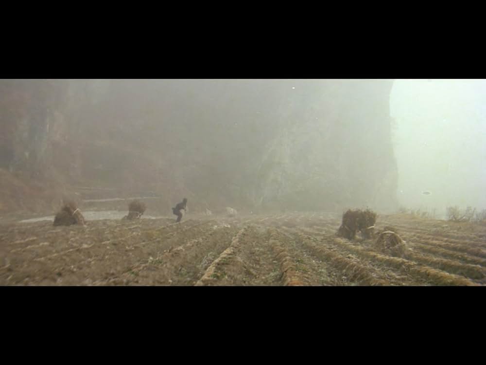 仏陀竜の蛇拳の画像