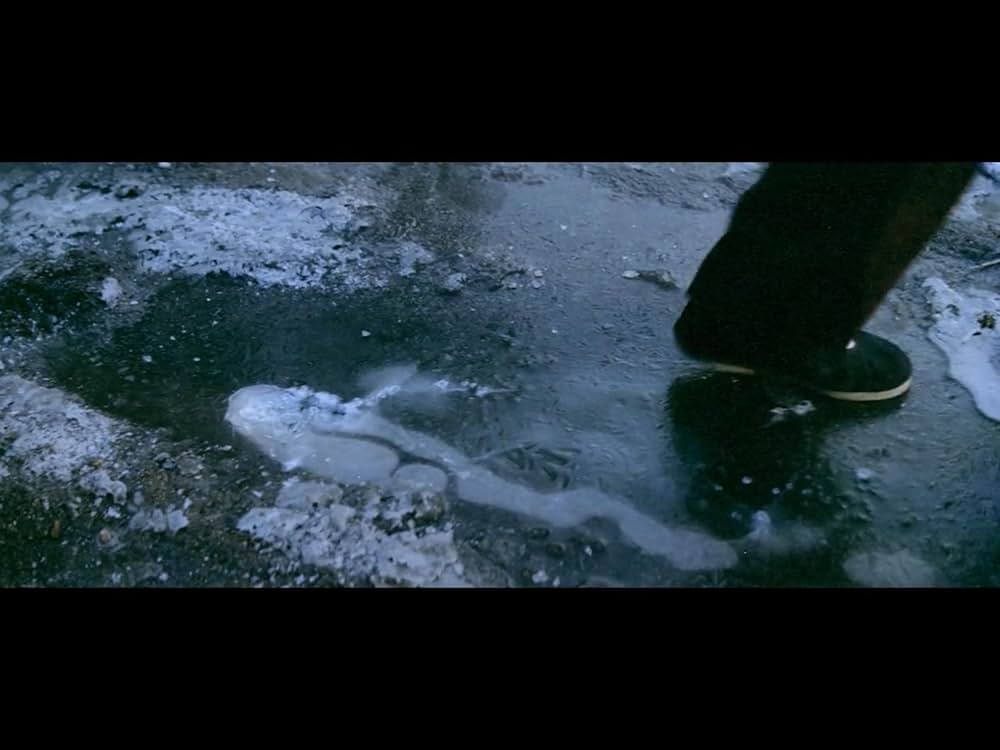 仏陀竜の蛇拳の画像