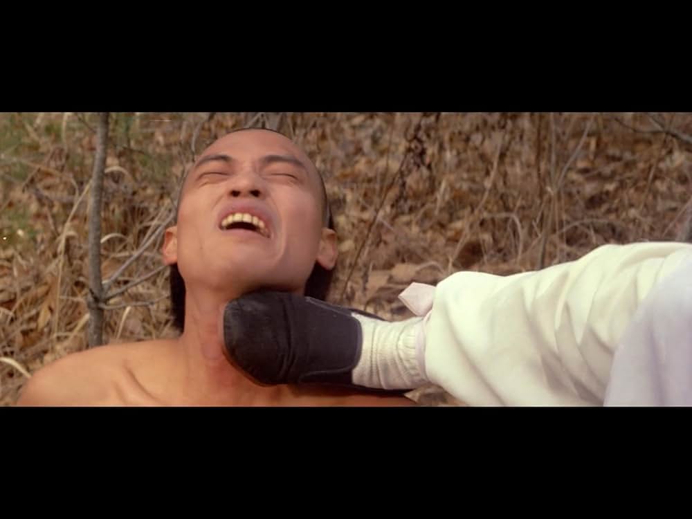 仏陀竜の蛇拳の画像