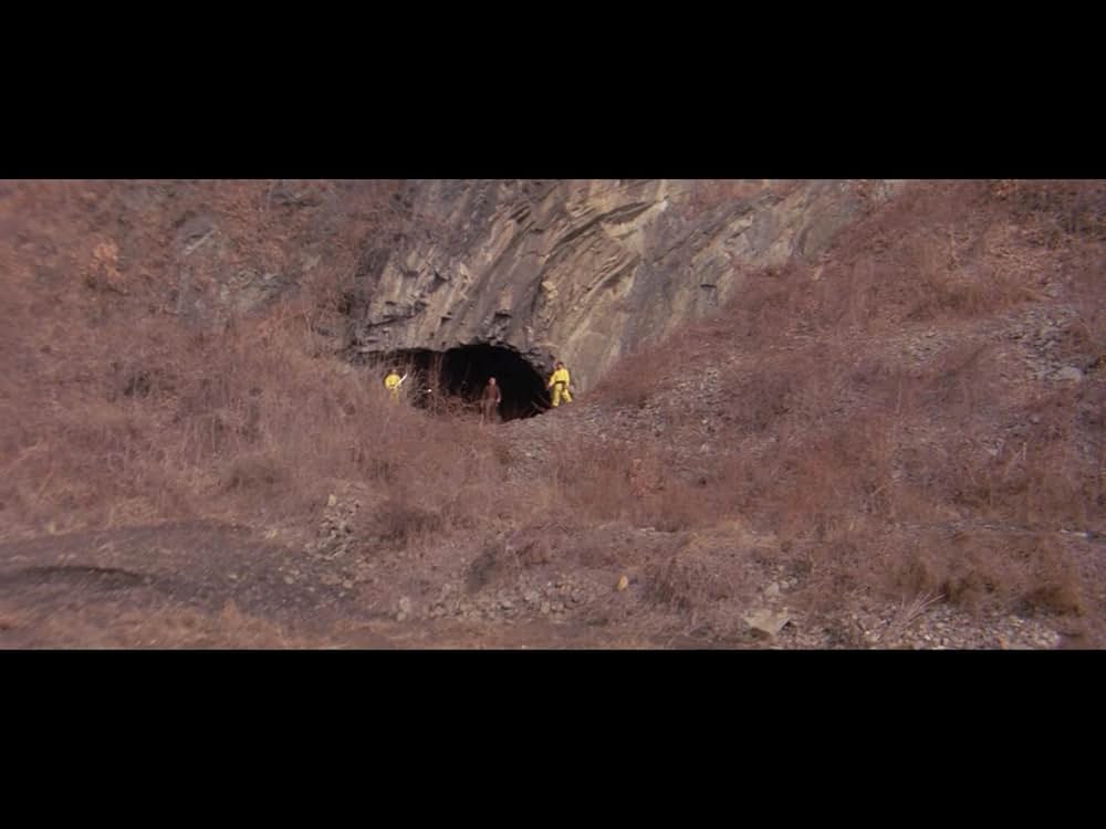 仏陀竜の蛇拳の画像