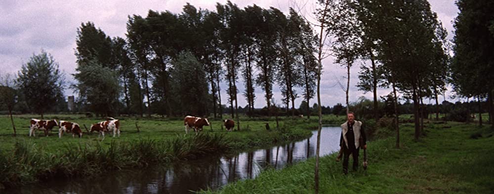 炎の人ゴッホの画像