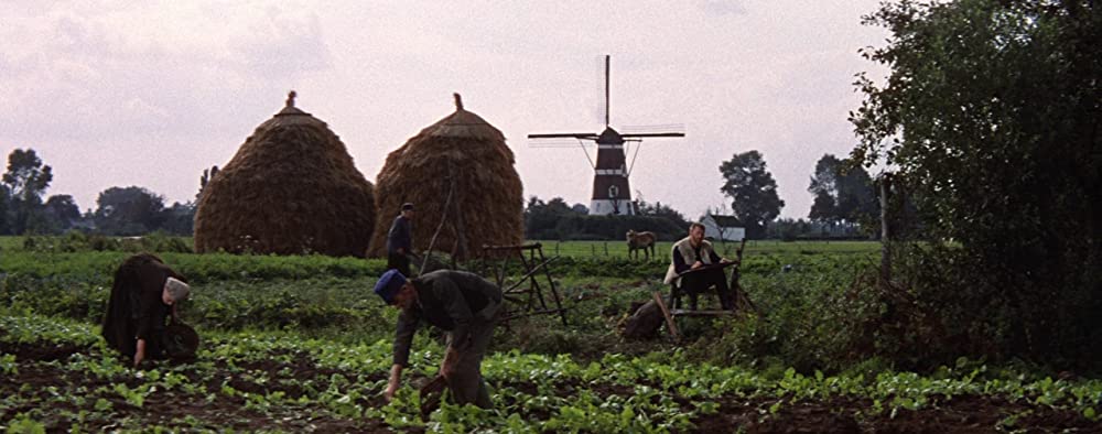 炎の人ゴッホの画像