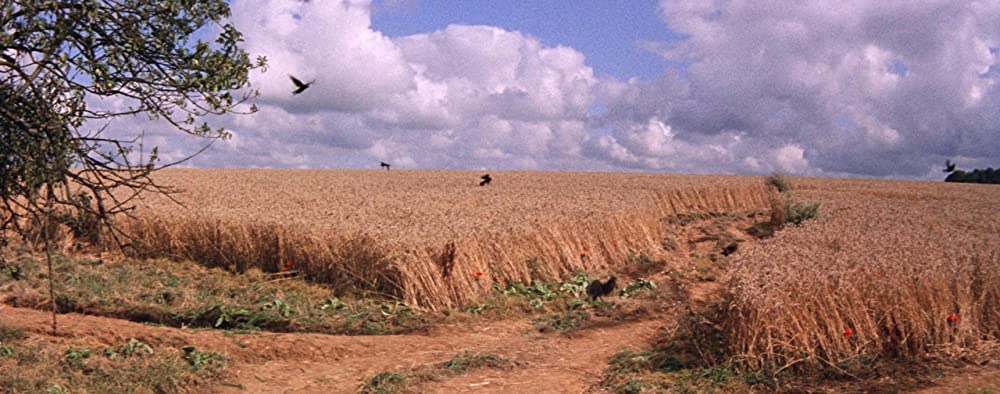 炎の人ゴッホの画像