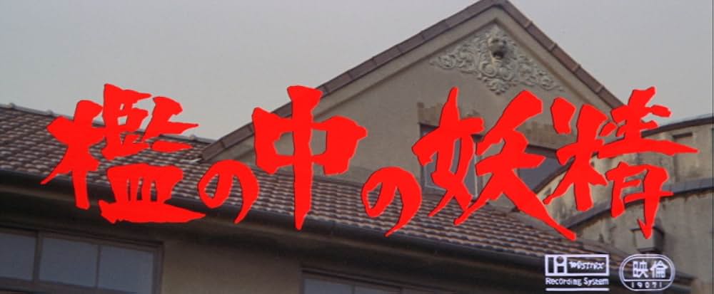 檻の中の妖精の写真