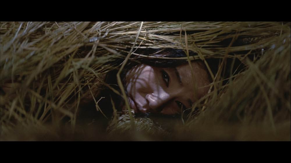 「檻の中の妖精」の画像