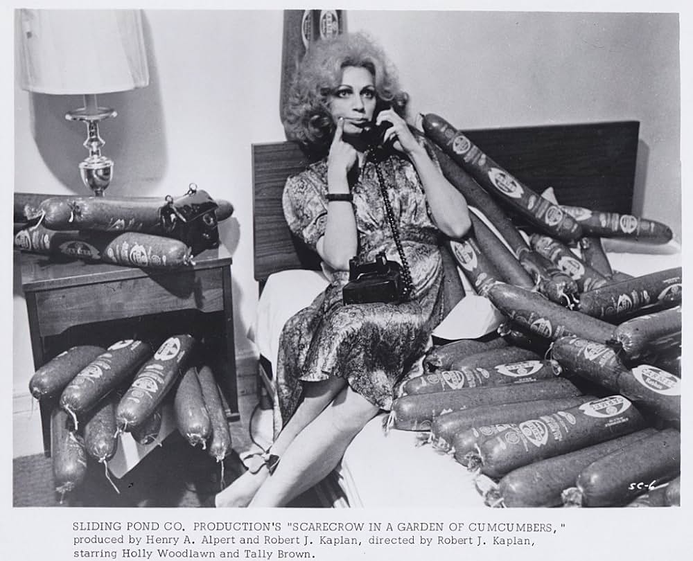 きゅうり畑のかかしの画像