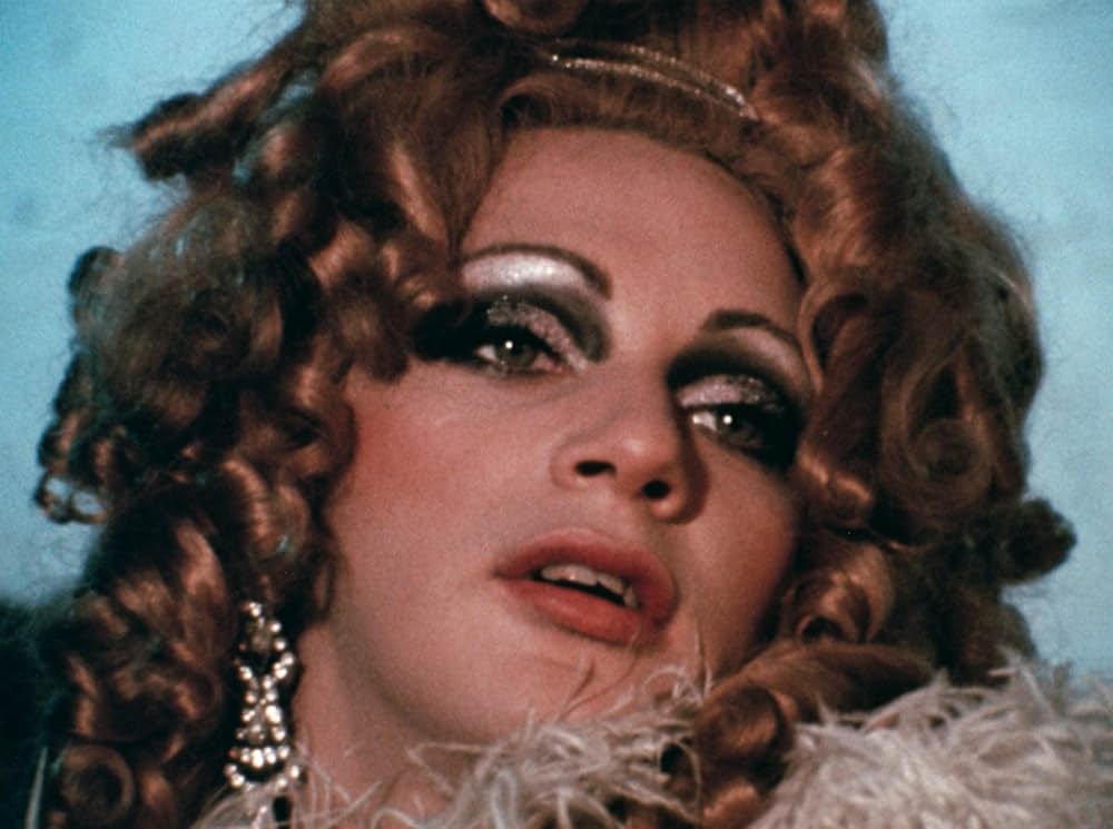 きゅうり畑のかかしの画像