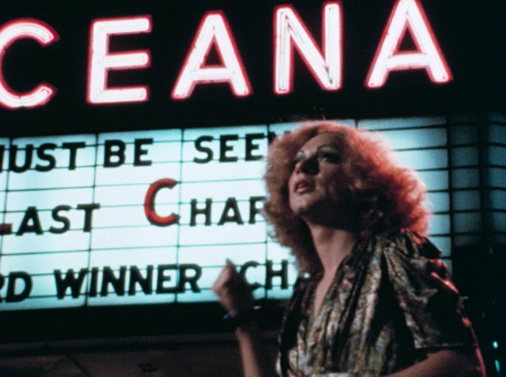 きゅうり畑のかかしの画像