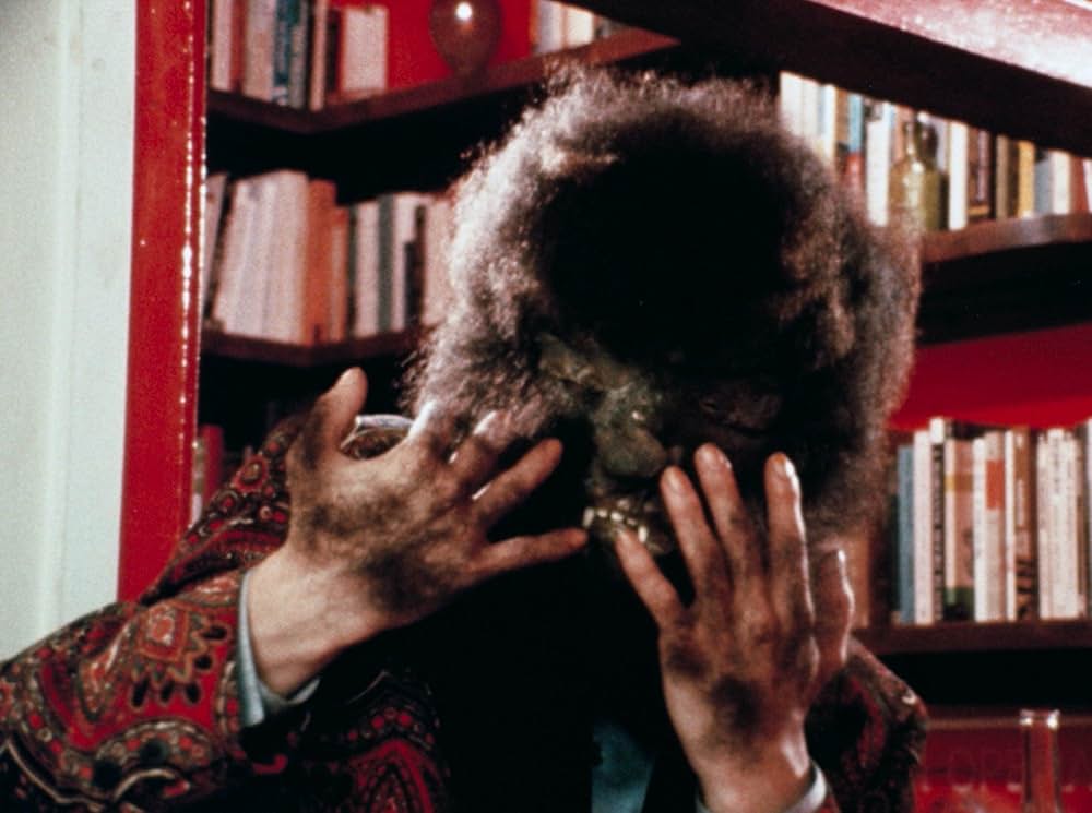 きゅうり畑のかかしの画像