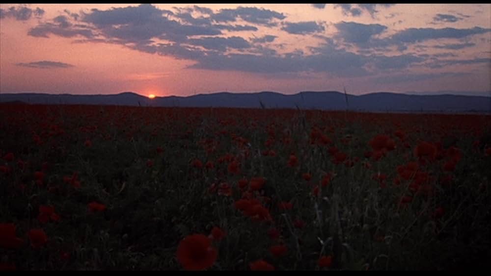 エイリアン・プレデターの画像