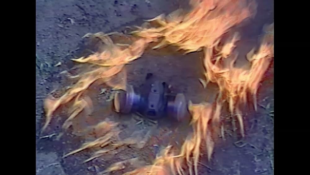 Slaughter Day（原題）の画像