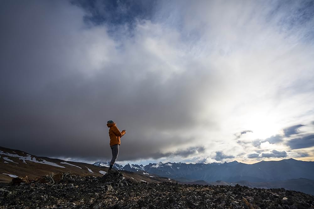 WILD LIFE 大自然への讃歌の画像